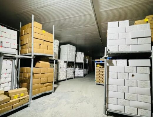 Fish Processing & Export Factory for Sale in Ajman – Profitable Investment Opportunity