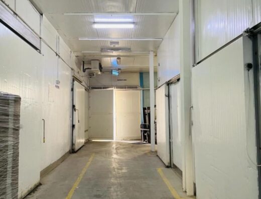 Fish Processing & Export Factory for Sale in Ajman – Profitable Investment Opportunity