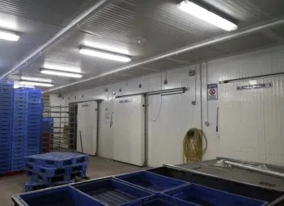 Fish Processing & Export Factory for Sale in Ajman – Profitable Investment Opportunity